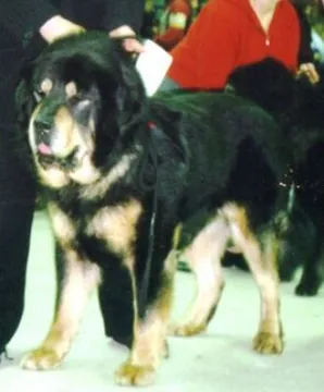 Corey V. Altnaharra