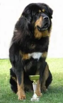 Phou-Sheng Des Mille Vallees